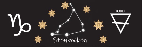 Stenbocken