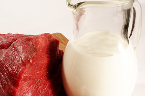 Fosfor finns i kött och mjölk