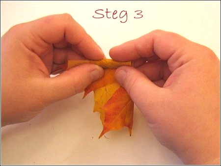 Bild 4 - Hur man gör rosor med lönnblad