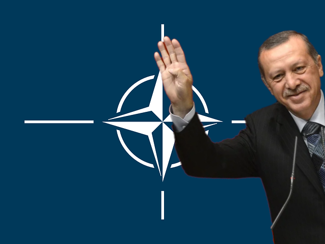 Varför Sverige vill gå med i NATO och varför Erdogan motsätter sig det