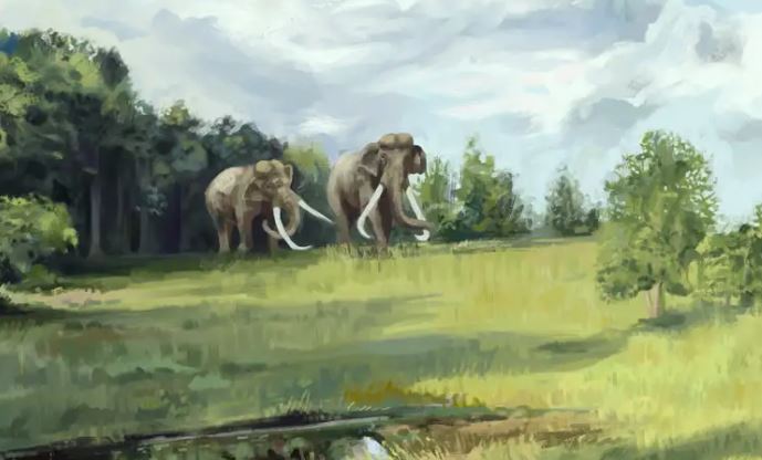 Forntidens Europa var delvis täckt av savann och betande elefanter