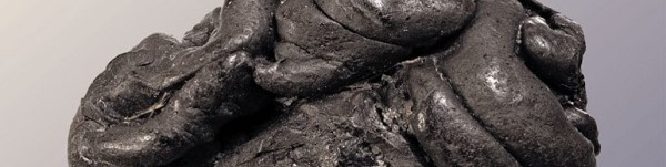 DNA från 5 700 år gammal tuggad björktjära avslöjar hur en forntida kvinna såg ut, vad hon åt, etc.