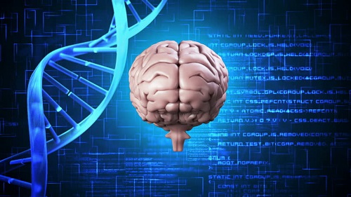 Genen för ursprunglig mänsklig intelligens har hittats