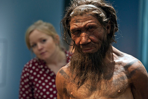 Neandertalarens Y-kromosom är utdöd