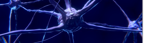 Psykedeliska droger kan hjälpa dina hjärnceller att bilda nya förbindelser