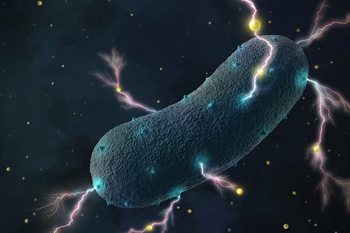 Tarmbakteriernas chockerande hemlighet: De producerar elektricitet