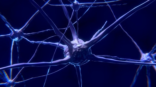 Genmodifierade neuroner kan hjälpa forskare att ansluta till hjärnimplantat