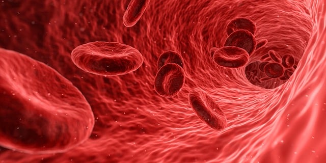Röda blodkroppar som utsätts för syrebrist skyddar vid hjärtinfarkt
