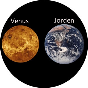 Jorden vs. Venus
